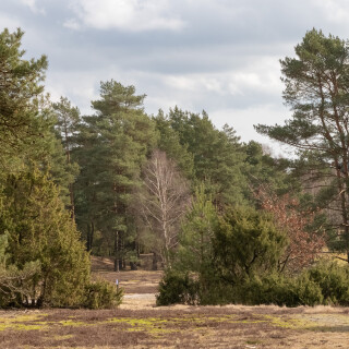 260228_Schleppjagd-Misselhorn-2026-MoinHeide_IMG_5641