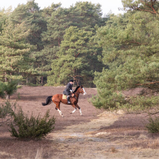 260228_Schleppjagd-Misselhorn-2026-MoinHeide_IMG_5666