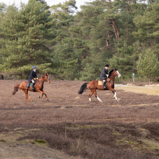260228_Schleppjagd-Misselhorn-2026-MoinHeide_IMG_5671