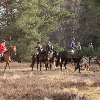 260228_Schleppjagd-Misselhorn-2026-MoinHeide_IMG_5785
