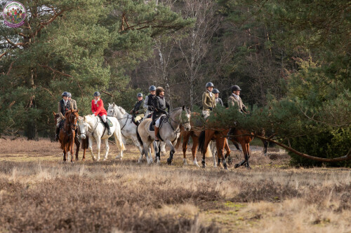 260228_Schleppjagd-Misselhorn-2026-MoinHeide_IMG_5788.jpg