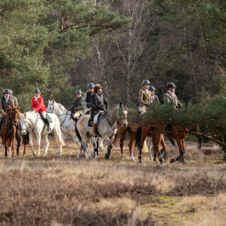 260228_Schleppjagd-Misselhorn-2026-MoinHeide_IMG_5788