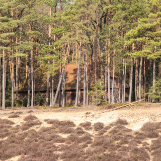 260228_Schleppjagd-Misselhorn-2026-MoinHeide_IMG_5827