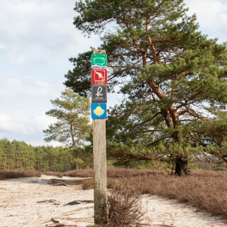 260228_Schleppjagd-Misselhorn-2026-MoinHeide_IMG_5843