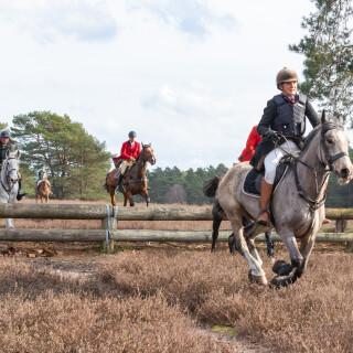 260228_Schleppjagd-Misselhorn-2026-MoinHeide_IMG_5955
