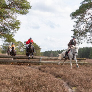 260228_Schleppjagd-Misselhorn-2026-MoinHeide_IMG_5964