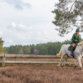 260228_Schleppjagd-Misselhorn-2026-MoinHeide_IMG_5969