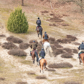 260228_Schleppjagd-Misselhorn-2026-MoinHeide_IMG_5986