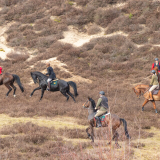 260228_Schleppjagd-Misselhorn-2026-MoinHeide_IMG_6006