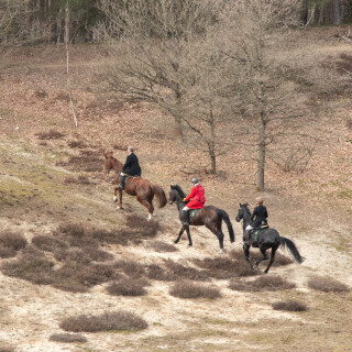 260228_Schleppjagd-Misselhorn-2026-MoinHeide_IMG_6007