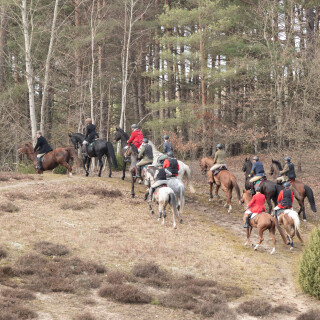 260228_Schleppjagd-Misselhorn-2026-MoinHeide_IMG_6012