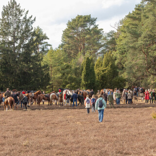 260228_Schleppjagd-Misselhorn-2026-MoinHeide_IMG_6016